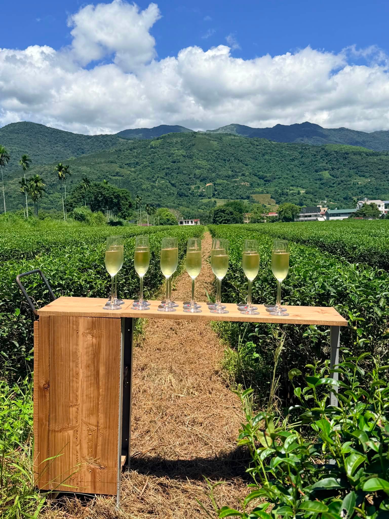 瑞穗鄉間田野與向陽山坡